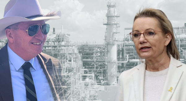 Barnaby Joyce is causing party leader Sussan Ley a headache